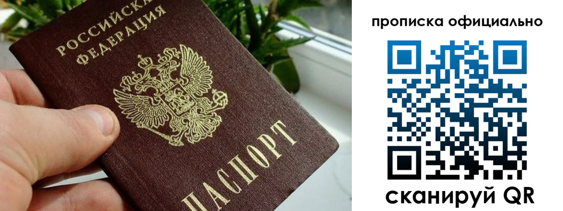 прописка поиск в Моздоке